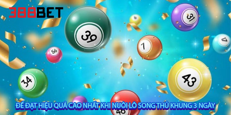 Để đạt hiệu quả cao nhất khi nuôi lô song thủ khung 3 ngày