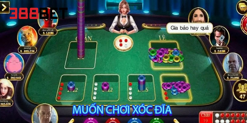 Muốn chơi xóc đĩa