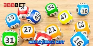Nuôi lô khung 3 ngày