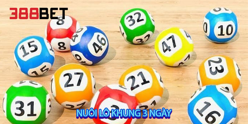 Nuôi lô khung 3 ngày
