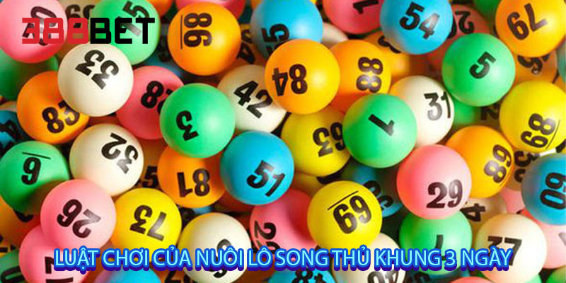 luật chơi của nuôi lô song thủ khung 3 ngày