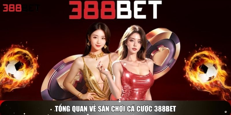 Tổng quan về sân chơi cá cược 388BET